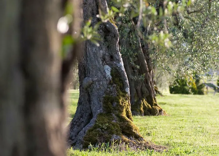 Agriturismo La Sosta di Annibale Tuoro sul Trasimeno